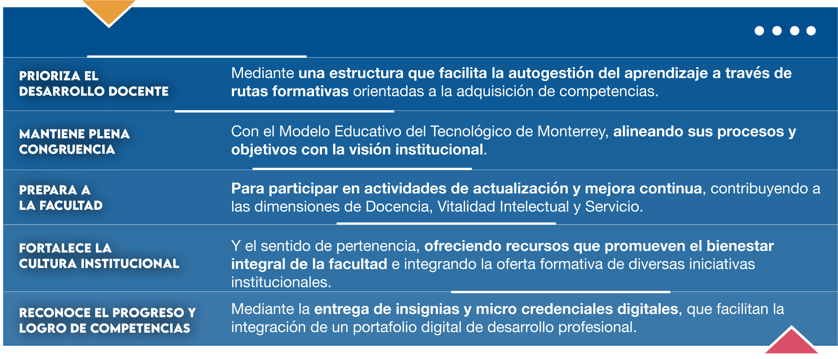 Areas de desarrollo