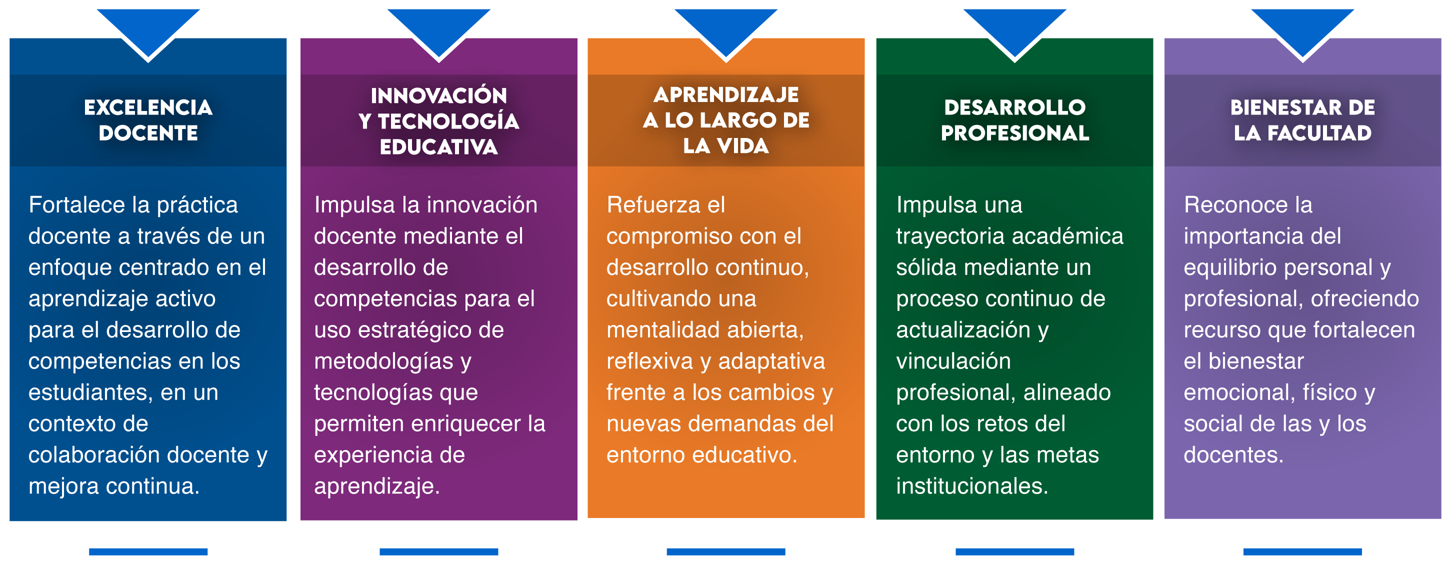 Areas de desarrollo